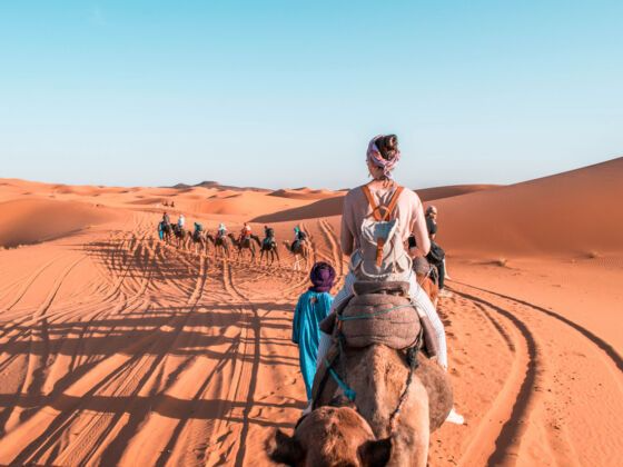 Home woman tourist riding a camel in